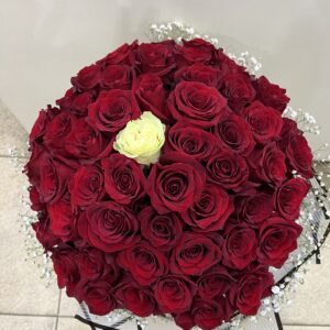 51 бр. червени рози